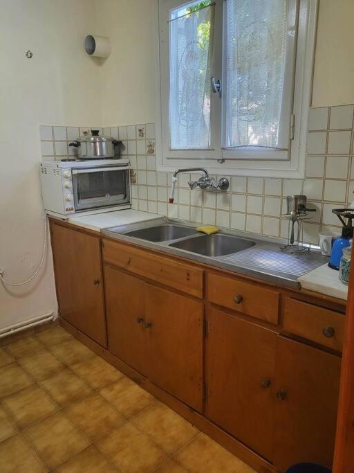 Maria Home Andros Town Bagian luar foto